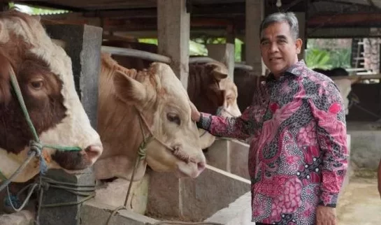 Jelang Idul Adha, Gerindra Usul Pemerintah Gelar Vaksinasi Sapi Masal Milik Peternak