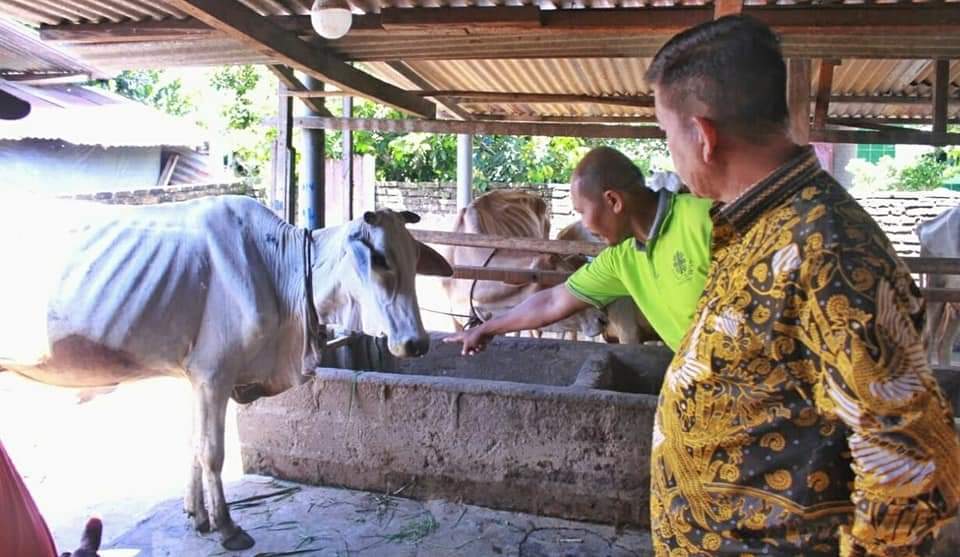 Bupati dan Ketua DPRD Simalungun Tanggapi Laporan Masyarakat Terkait PMK di Kecamatan Gunung Malela