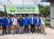 Tanam Harapan di Tengah Beton: UPER Hadirkan Urban Farming yang Ramah Lingkungan