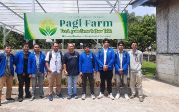 Tanam Harapan di Tengah Beton: UPER Hadirkan Urban Farming yang Ramah Lingkungan