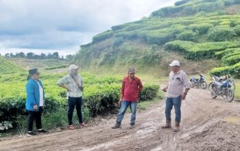 Pemkab Simalungun bersama PTPN IV Kebun Sidamanik Berkolaborasi atasi Banjir