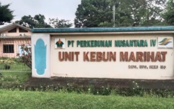 Lonjakan Serangan Ulat Kantung Mengancam TBM-3 Kebun Marihat, PTPN IV Hadapi Risiko Kerugian